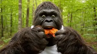 BIGFOOT VLOG 19 - DAVES HOT CHICKEN MUCKBANG