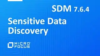 Sensitive Data Discovery with SDM