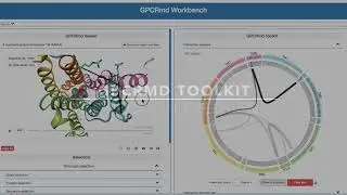 How to stream and analysis the dynamics of crystal structures?
