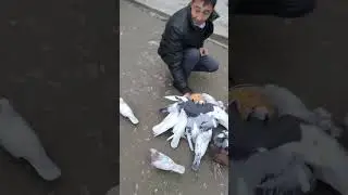 12 декабря 2025 г.