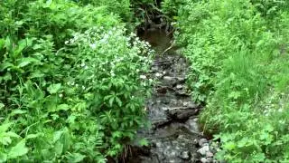 Vid&eacute;o pr&eacute;sentation Vall&eacute;e de Manigod