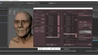 Rigging Tool Dev, BS Tool, Skin Tool