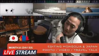 🔴 Live Editing Mongolia & Japan | Photo / Video / Wildlife / Travel Talk | Day 33
