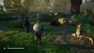 Assassin's Creed: Valhalla: Wounded Bear