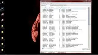 Please Help!!! dllhost.exe virus?!?! (using up all of my cpu)