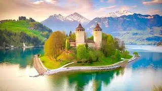 Spring in Ogoz Island 🏝️ Switzerland 🇨🇭Walking tour & Drone Footage 4K
