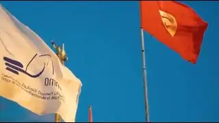 Office de la Marine Marchande et des Ports : Des profondeurs de l&rsquo;histoire aux horizons de l&rsquo;avenir