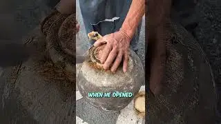 Он думал, что нашел золото, но это оказалось вино #шорты