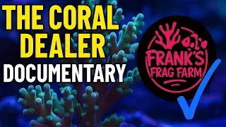 Life Of A Coral Dealer In NYC(you won't believe it)