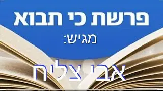 קריאת פרשת השבוע: 