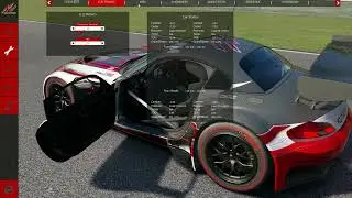 BMW Z4 GT3, MUGELLO, SETUP, FOR 7 LAPS OF THE TRACK IN COMPETITION, AC,