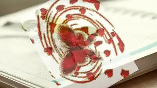 Raul Palma - Hojas sueltas