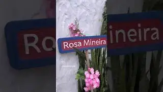 Pousada super charmosa na praia do Rosa SC