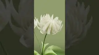 A special type of bloom #blender #blender3d #animation