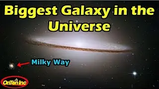 The Largest Galaxy Ever Discovered: IC 1101