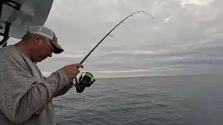 Battle Flounder