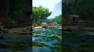 🏡