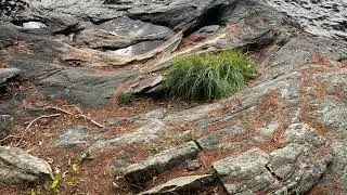 Rocks of the Canadian Shield