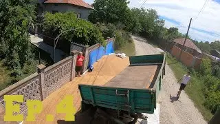 Campanie Treierat grau 2022-Ep.4(Ultimul transport)