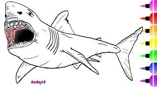 White Shark Drawing and Coloring Page & How to Draw a Dinosaur for  Coloring ✴