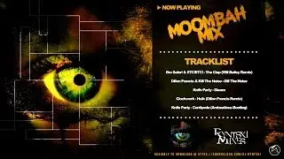 Moombahcore/Moombahton Mini Mix 2013