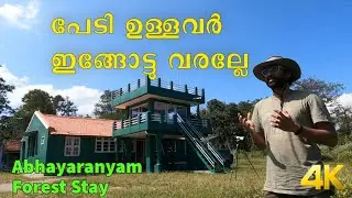 Cheapest forest stay | Masinagudi | Muthumalai Tiger Reserve | 1000 per head | 4k