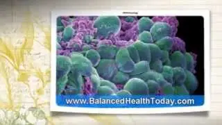 Hormone Detox - Part 1 (Mens Health) Hormone Detox