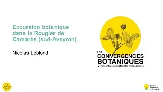 Convergences botaniques 2021 - 15. La flore du Rougier de Camarès (Nicolas Leblond)