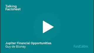 How Jupiter Financial Opportunities fits into your portfolio