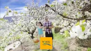 Cerejeiras em Flor no Vale do Jerte
