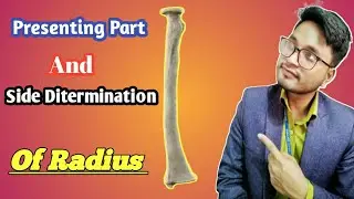 Presenting Parts Of Radius Bangla