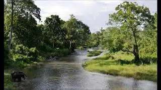 Dooars Wildlife Sanctuary (North Bengal)