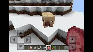 How to spawn Cold Pig Variant in Minecraft