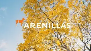 Arenillas | Megadiverso
