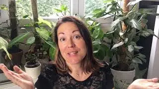 Bla Bla Plantes : En Visite chez mes plantes