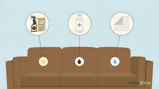 How to Clean a Leather Sofa