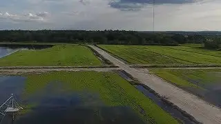 How Hurricane Irma Hurt Florida Farmers