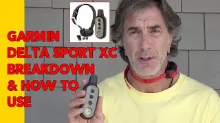Электронный ошейник Garmin Delta Sport XC: как использовать и как понять функции
