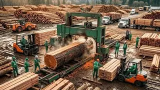 Inside the Largest Wood Sawmill Factory &ndash; How Plywood Is Made From Kitchen Cabinets | factory