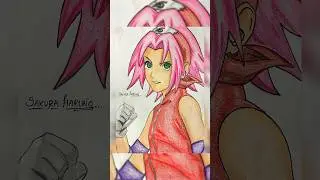 sakura sketchbooksakura drawing pencilsakura drawing pensakura sketchbook review