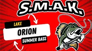 Best Techniques for Early August Summer Bass Fishing