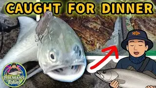 Estuary Fishing for Threadfin &ndash; Fishing Journal Day 1