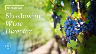 Dream Job - Want to be a Wine Director?  (Feature: Walter Hamlin)