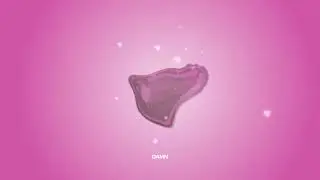 Karma - Love The Way You Love (Visualiser)