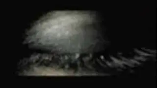 Circus of Dead Squirrels - Nobody Quite Like Me