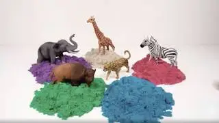 Learn Animal Names with Activity Puzzle 🐒🐊🦁 Preschool Learning Video for Kids & Toddlers