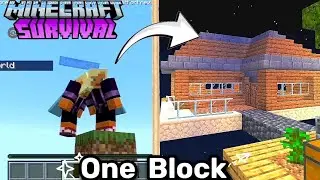 One Block Survive With Little Brother// Minecraft gameplay Hindi video #minecraft 