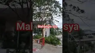 wag masyadong mayabang baka liparin ka ng hangin#windy#ytshorts