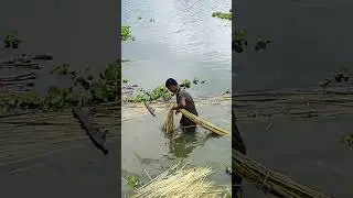 Jute Wash in Village #jute #washing #village #ytshorts #shorts