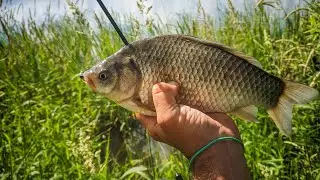 Мормышинг. Ловля КАРАСЯ. Эффективная проводка на Карася. Спиннинг Nautilus ANT Solid NAT-S582S.